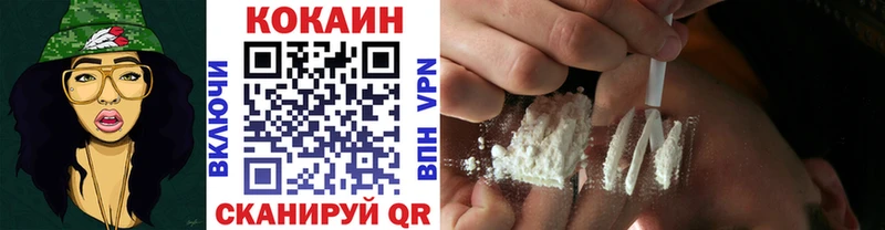магазин    Приозерск  COCAIN Fish Scale 