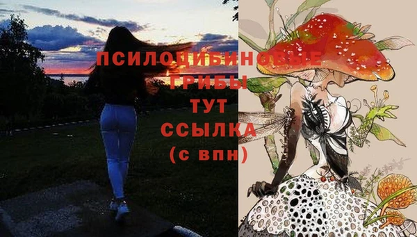 стафф Алзамай