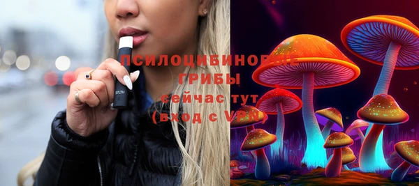 прущие крисы Алексин