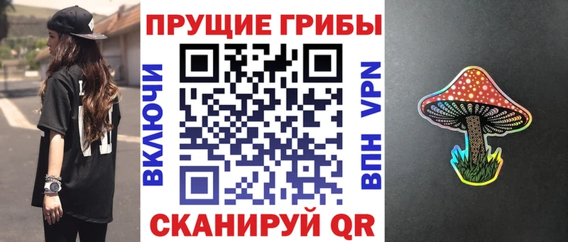 Псилоцибиновые грибы Psilocybe  ОМГ ОМГ ссылки  Приозерск 