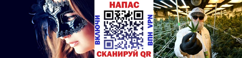 Шишки марихуана конопля дарнет шоп Приозерск